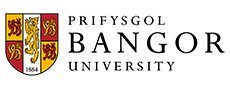 bangor-logo.original